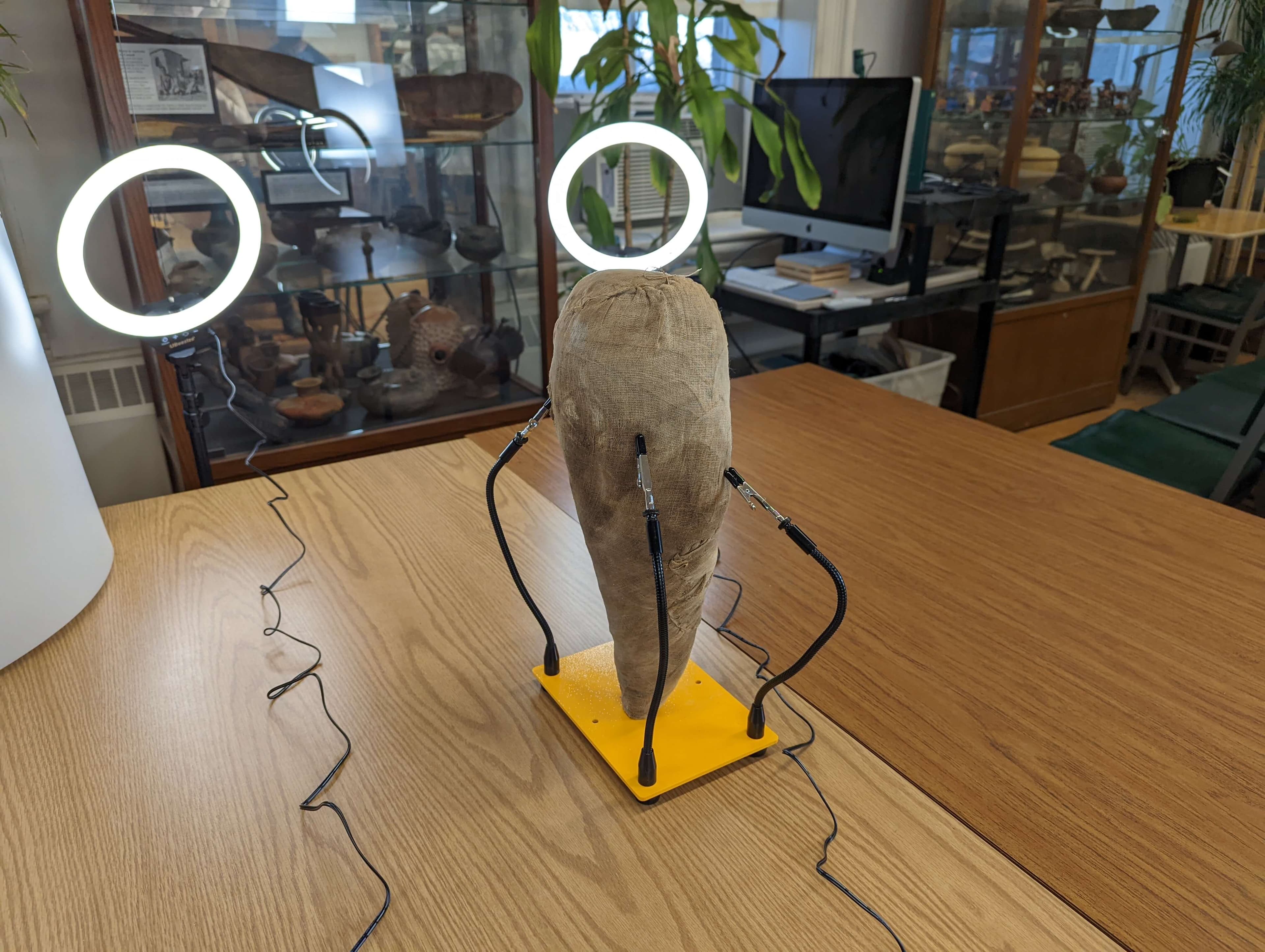 A mummified ibis being scanned in a studio using photogrammetry equipment