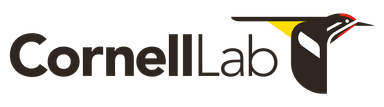 All About Birds Logo